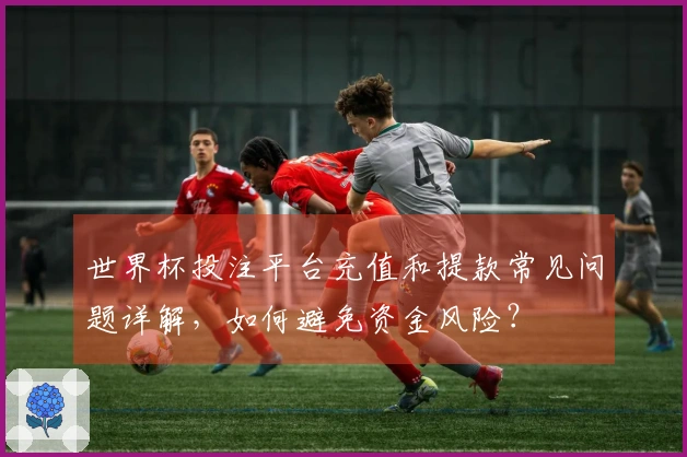 世界杯投注平台充值和提款常见问题详解，如何避免资金风险？
